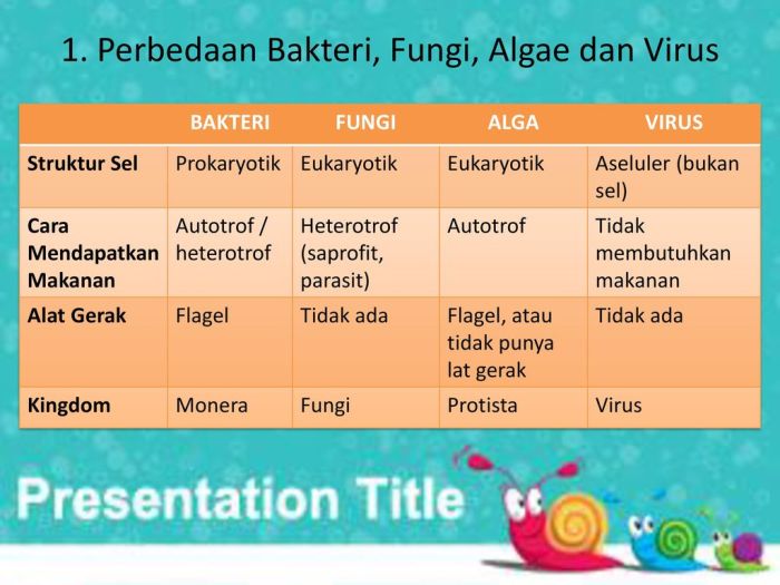 bakteri virus infeksi perbedaan karena antibiotik