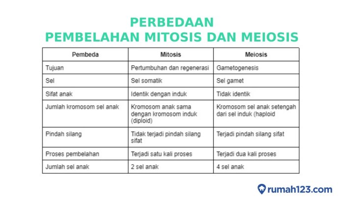 Buatlah tabel perbedaan mitosis dan meiosis