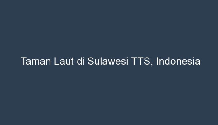 taman laut di sulawesi tts