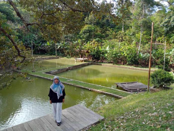 satu borong berapa meter