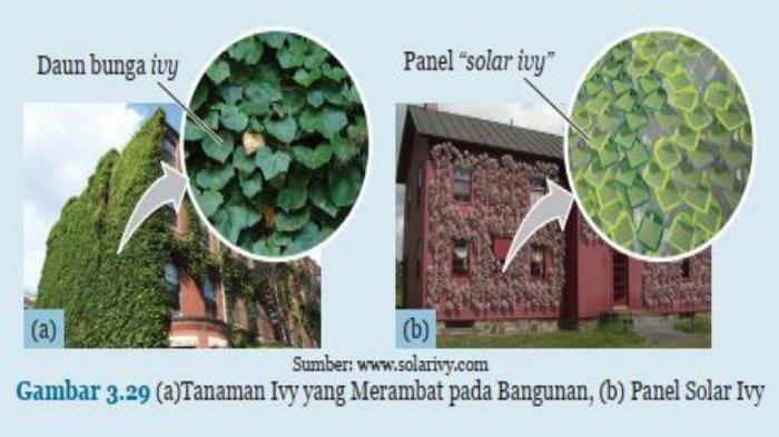 bangunan yang terinspirasi dari tumbuhan