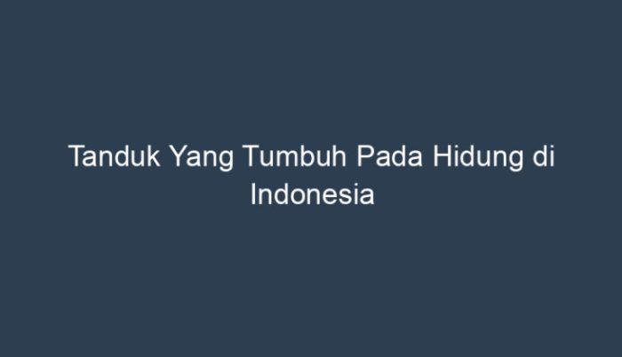 paku rusa tanduk tanaman platycerium tumbuhan spp daun dasar teori hias