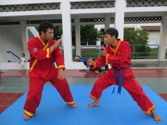 tingkatan sabuk tapak suci terbaru