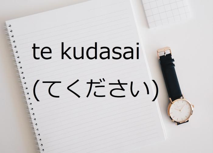 contoh kalimat te kudasai