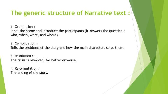 analyze the generic structure of the text
