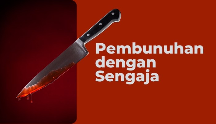 contoh pembunuhan semi sengaja terbaru