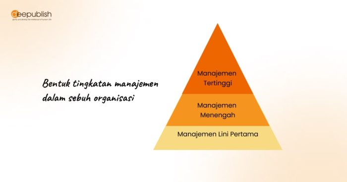 tingkatan manajemen dan contohnya terbaru