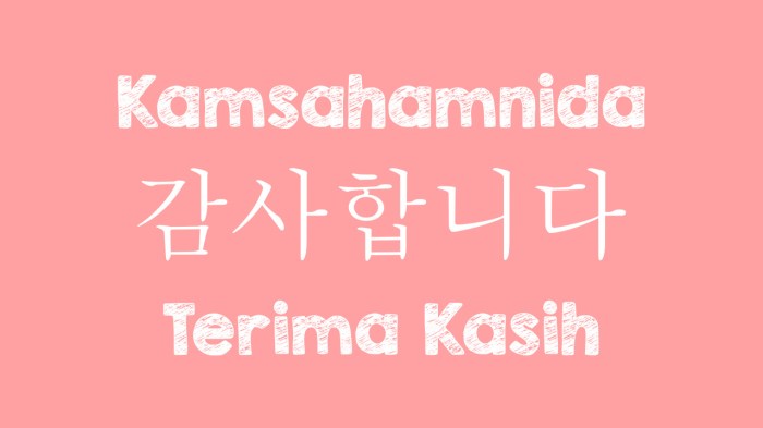 cerita bahasa korea dan latinnya terbaru