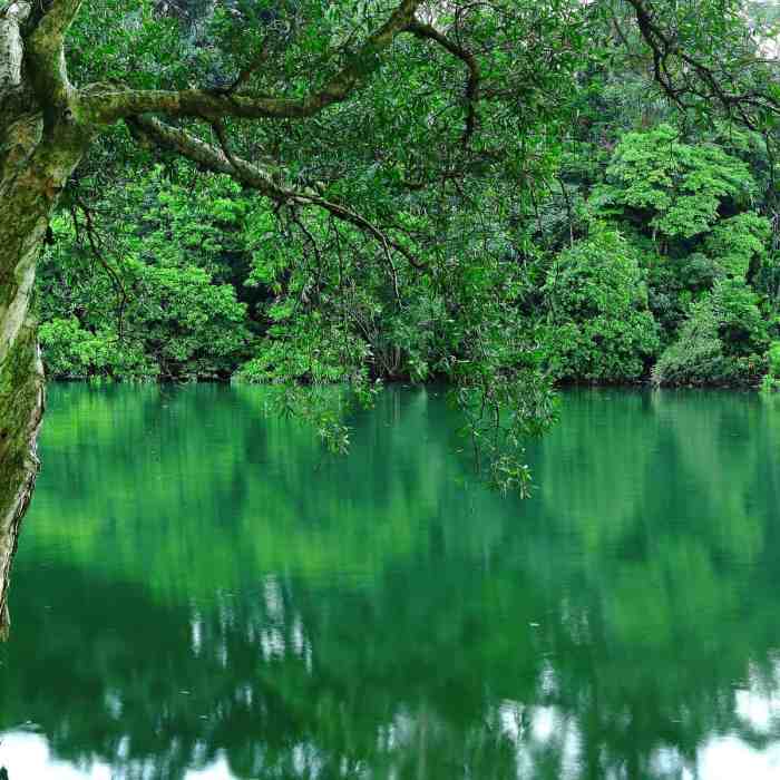 apa yang menjadi pesan pokok nabi elia