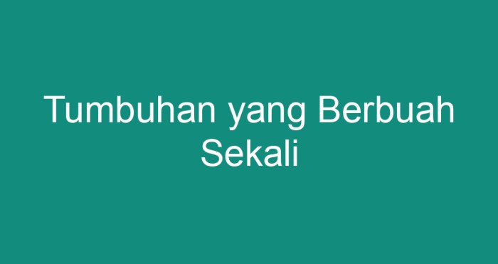 tumbuhan yang berbuah sekali terbaru