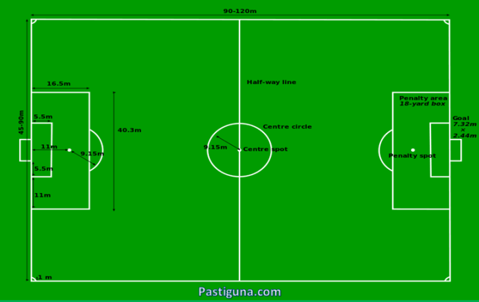 lapangan sepak bola mini terbaru