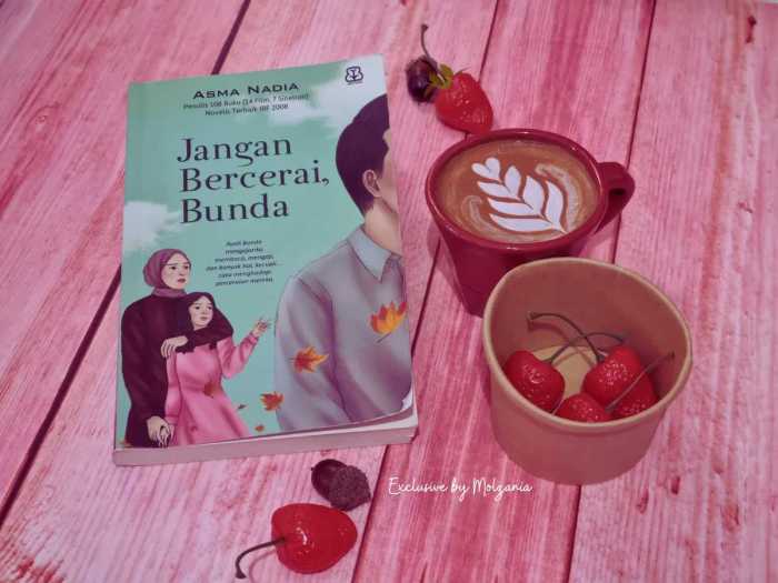 novel jangan bercerai bunda terbaru