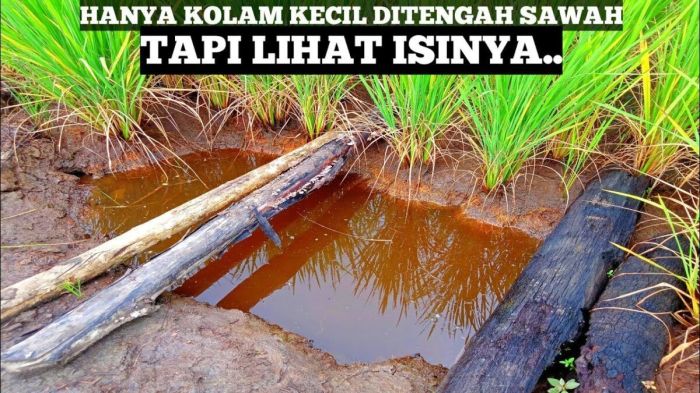 penyembuhan di kolam betesda terbaru