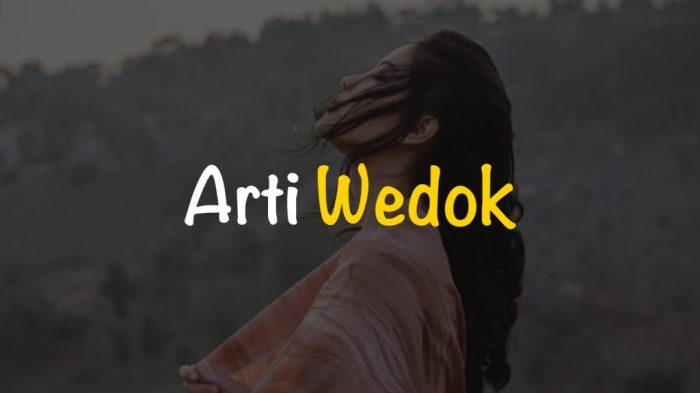 bahasa jawa wedok artinya